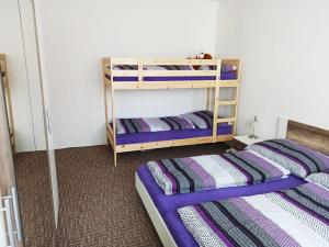 2 stapelbedden in een paarse kamer bij Apartmán Kovářská u Klínovce in Kovářská