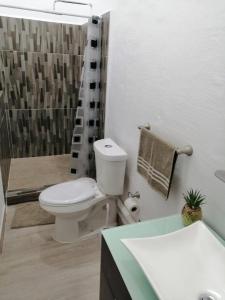 y baño con aseo, ducha y lavamanos. en Malecon Zone, en Puerto Vallarta