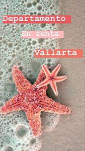 una estrella de mar roja en la playa con las palabras pent tamarin en rona en Malecon Zone, en Puerto Vallarta