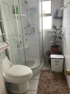 a white bathroom with a shower and a toilet at Donde Damaris in Punta Arenas