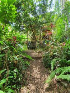 a dirt path in a garden with trees and plants at Cabina Gan Eden - Walking distance from river in Portalón