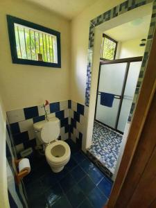 a bathroom with a toilet and a walk in shower at Cabina Gan Eden - Walking distance from river in Portalón