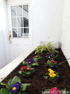 Gallery image of Happy, Cozy, Fun, Loving suite in West Vancouver in West Vancouver