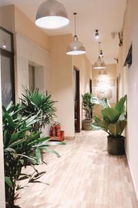 Fotografie z fotogalerie ubytování Be.Ho DaLat - Attic v destinaci Da Lat