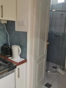 a kitchen with a shower and a white door at Baross-hat 5 in Szolnok