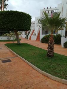 Zahrada ubytování Apartamento de Palomares CUEVAS DEL ALMANZORA + 4 fotografie