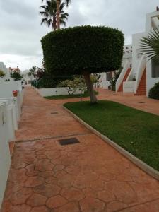 Zahrada ubytování Apartamento de Palomares CUEVAS DEL ALMANZORA