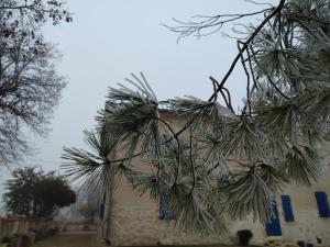 Fotografie z fotogalerie ubytování Relais de la poste ch Rose v destinaci Monclar-de-Quercy