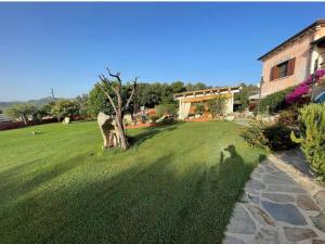 una sombra de una persona parada en el césped en Azienda agrituristica contras, en Olbia