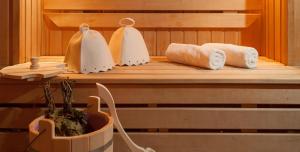 two towels sitting on a shelf in a sauna at Argo Hotel in Lazarevskoye
