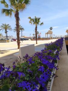 Gallery image of Apartamento del Sol in Fuengirola