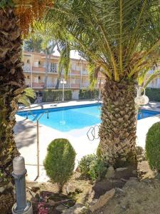 ein Pool mit zwei Palmen und ein Gebäude in der Unterkunft Apartamento Cala del Pi in Platja  d'Aro