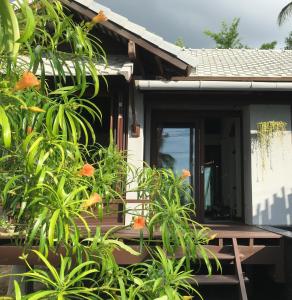 une maison avec une terrasse couverte avec des plantes devant elle dans l'établissement Jasmine & Tea House, à Mae Nam Beach