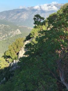 Fotografie z fotogalerie ubytování Lena Boutique Otel v destinaci Fethiye