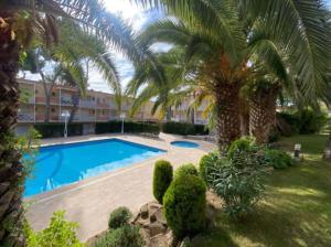 ein Resort mit einem Pool und einer Palme in der Unterkunft Apartamento Cala del Pi in Platja  d'Aro