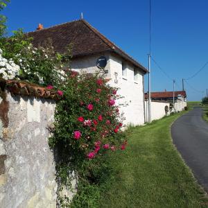 a retaining wall with pink flowers on a street at Gîte et chambres d'hôtes Le Chêne Billault in Pouant