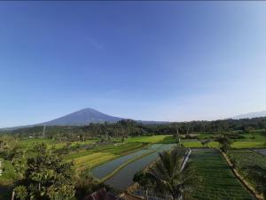 a view of a valley with a river and a mountain at Alaina Villa in Bumiagung