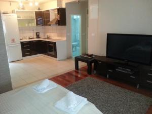 a living room with a television and a kitchen at Dubrovnik Residence Nodilo in Dubrovnik