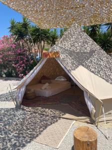 Fotografie z fotogalerie ubytování Simos Camping Elafonisos & Bungalows v destinaci Elafonisos