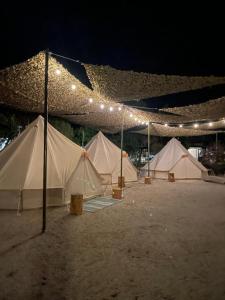 Fotografie z fotogalerie ubytování Simos Camping Elafonisos & Bungalows v destinaci Elafonisos