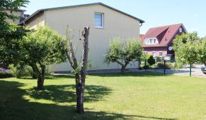 un arbre dans une cour devant une maison dans l'établissement Ferienwohnung Zelk, à Kühlungsborn