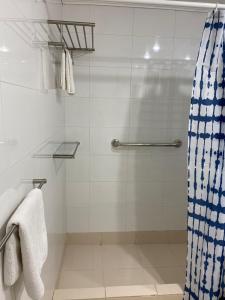 uma casa de banho com um chuveiro com uma cortina azul e branca. em Villa del Rio Express em Valdivia