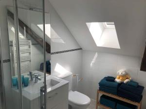 a bathroom with a toilet and a sink and a skylight at Maison Lumineuse à Boulieu in Courtenay