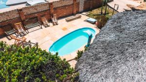 une vue aérienne d'une piscine dans une cour arrière dans l'établissement Pousada Aruna Kite, à Barra Grande 31 autres photos