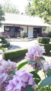Gornji VaganacにあるApartment Lenaのピンクの花が咲く庭園