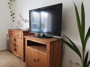 a flat screen tv sitting on top of a wooden entertainment center at Mar del Delta in L'Ampolla