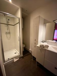 a bathroom with a shower and a sink and a toilet at Loger à La Madeleine in La Madeleine +38 photos