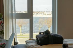 un ours en peluche posé sur un canapé devant une fenêtre dans l'établissement Ferienhaus-Luv, à Heiligenhafen