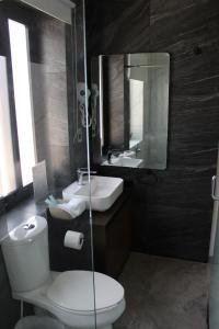 a bathroom with a toilet and a sink and a mirror at La Casa Mia Leon in León