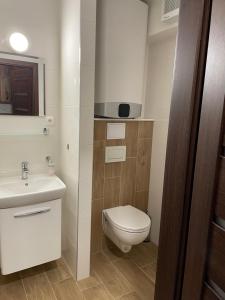 een badkamer met een toilet en een wastafel bij Apartmán Diamond 2 in Podhájska