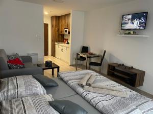 TV a/nebo společenská místnost v ubytování Apartmán Diamond 2