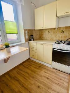 Kuchyňa alebo kuchynka v ubytovaní Luxodonta Apartment + 8 fotografií