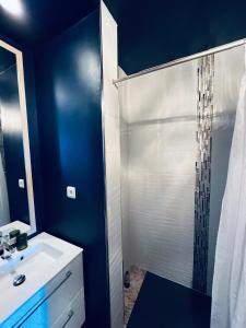 uma casa de banho com um chuveiro e um lavatório branco em Brive centre, superb appartement en face du Marché Primé em Brive-la-Gaillarde