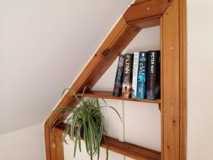 una libreria con libri e una pianta in vaso di Nest Holiday Home Central Callander, Trossachs Self-catering a Callander