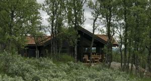 una cabaña de madera en el bosque con árboles en Venehovda - cabin at 1000 masl, en Al