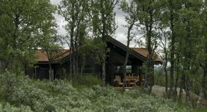 una baita nel bosco con alberi di Venehovda - cabin at 1000 masl ad Ål
