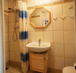 uma casa de banho com um lavatório e um espelho em Appartement Walvis nr. 9E em Vrouwenpolder