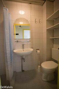 een badkamer met een wastafel, een toilet en een spiegel bij Appartement Walvis nr. 9H in Vrouwenpolder