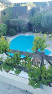 a swimming pool in a yard with some plants at LE PETIT CLOS in Fontjoncouse