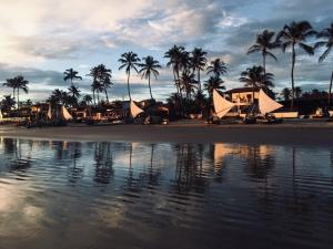 a beach with palm trees and buildings and the water at Navegantes Poente - Os Navegantes in Guajiru