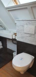 ein Badezimmer mit einem weißen WC im Dachgeschoss in der Unterkunft Sterrenhoeve in Castricum