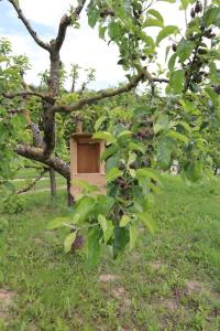 Fotografia z galérie ubytovania Szajkó Vendégház v destinácii Mucsi