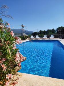 una piscina azul con sillas y flores en Casa Mistral - Casa Rural Los Cuatro Vientos, en Moratalla