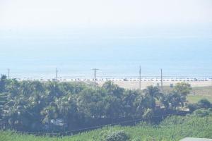 vista su una spiaggia con palme e sull'oceano di Coastal Peace a Cox's Bazar