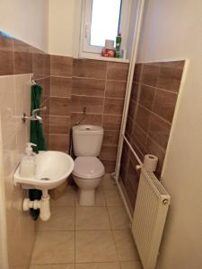 a small bathroom with a toilet and a sink at Apartmány Božka in Terchová +52 photos