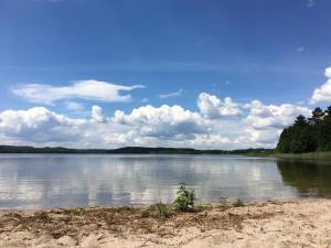 Przyroda w pobliżu tego domu wakacyjnego